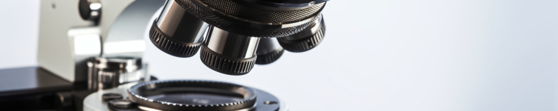 Jal_SINGLE_MICROSCOPE_REAL_IMAGE_ON_BLURRED_WHITE_BACKGROUND_10b498d8-2b3b-47bc-b20d-65ba9a849c09